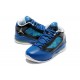 chaussures jordan femme flight noir bleu