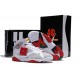 Air Jordan VII (7) Hare Retro gris blanc rouge