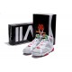 Air Jordan VII (7) Hare Retro gris blanc rouge