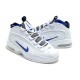 chaussure penny hardaway en blanc et bleu