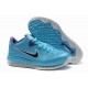 zoom lebron 9 basse bleu