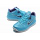 zoom lebron 9 basse bleu