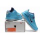 zoom lebron 9 basse bleu