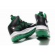 chaussure Nike LeBron 10 noir vert blanc