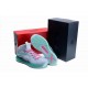 chaussure lebron james X loup gris vert glow in the dark