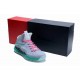 chaussure lebron james X loup gris vert glow in the dark