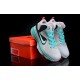 LeBron 9 gris vert enfant