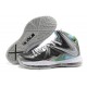 LeBron 10 prism gris noir blanc