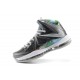 LeBron 10 prism gris noir blanc