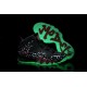 Nike Barkley Posite Max All-Star noir blanc rouge