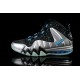 Barkley Posite Max gris noire