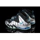 Barkley Posite Max gris noire