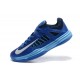 chaussur nike hyperdunk basse bleu