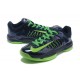 lunar hyperdunk basse noir et vert