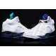 jordan retro 5 blanc Grape