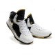 Nike lebron james 8 noir blanc or