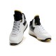 Nike lebron james 8 noir blanc or