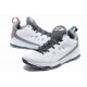 les air jordan CP3.VI blanc gris