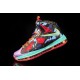 basket lebron james 10 femme multicolore