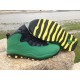 Jordan air 10 Oregon vert jaune