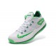 lebron james 11 max basse blanc vert