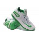 lebron james 11 max basse blanc vert