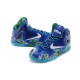 lebron james 11 Everglades iD bleu