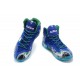 lebron james 11 Everglades iD bleu