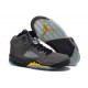 Air Jordan 5 gris Oregon Ducks