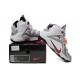 nike lerbon 12 NSRL blanc noir rouge