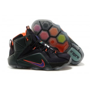 Nike LeBron 12 noir pourpre