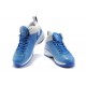 Air Jordan Fly 23 Femme bleu blanc