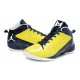 Nike Air Jordan fly wade 2 jaune et noir