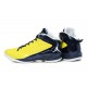 Nike Air Jordan fly wade 2 jaune et noir